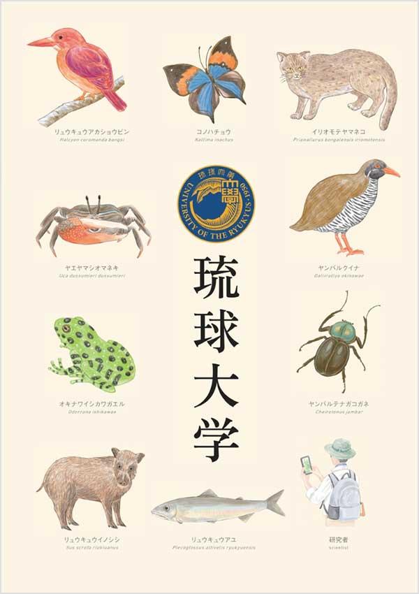 琉球大学の案内書