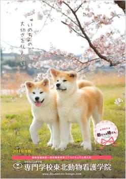 専門学校 東北動物看護学院の案内書