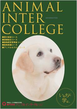 専門学校アニマルインターカレッジの案内書