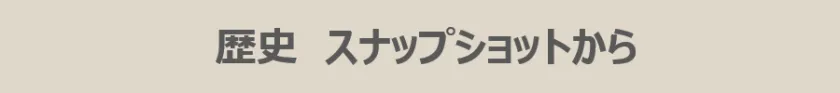 歴史 スナップショットから